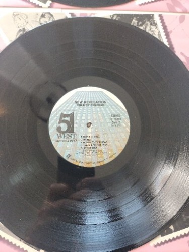 WABC TV: 30th Anniversary Party Vinyl Record (2x discs, WABC TV 7, 1983) EX - Foto 10 di 14