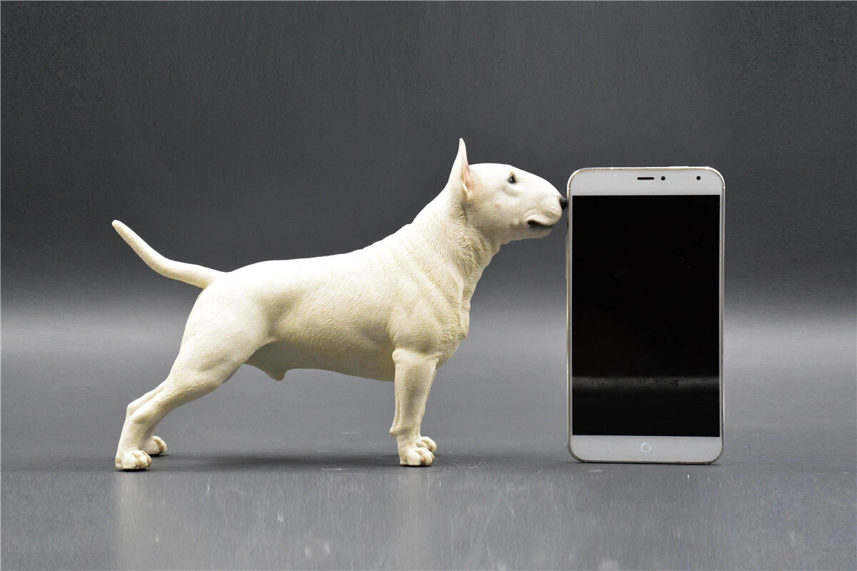 Bull terrier best sale items