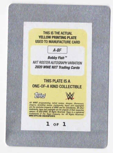 Bobby Fish 2020 Topps WWE NXT giallo autografo stampa targa card 1/1 - Foto 2 di 2