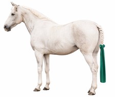 Horse Lycra Tail  Protector &ndash; Satin Tail Bag Anti Tangle & Breakage GREEN