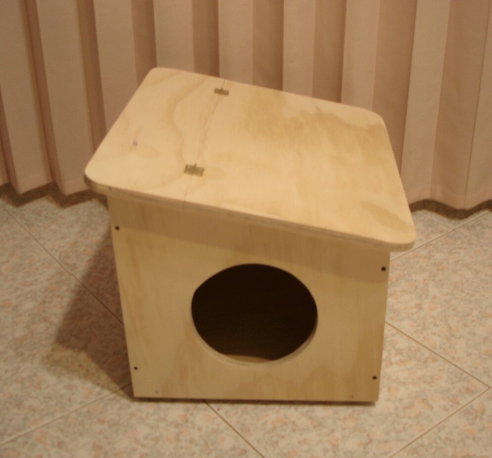 Foto 2 di 3