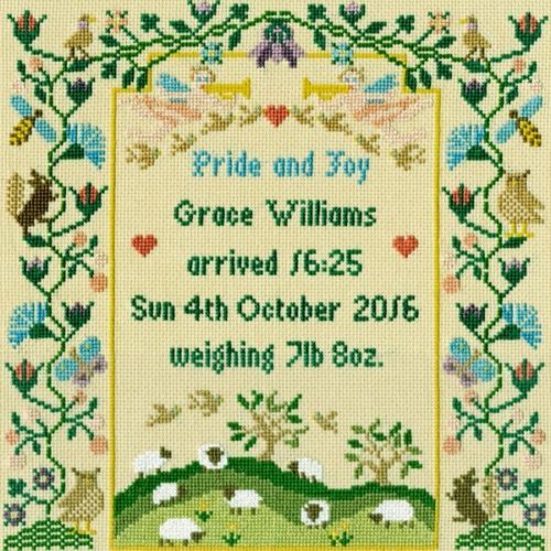 Bothy Threads Cross Stitch Kit - Pride and Joy, Sampler XS12