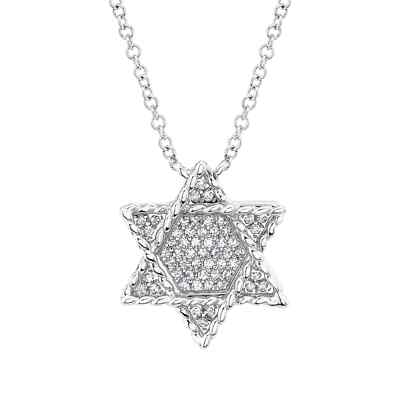 14K Weißgold Diamant Davidstern Halskette geflochten natürlich 0,10 kt Rundschliff