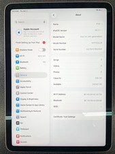 Apple iPad Air 10.9" 4th Gen 256GB Wi-Fi-Rose Gold- No touch ID