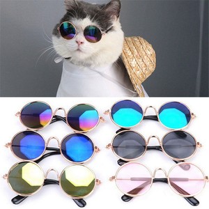 Détails Sur Chien Chat Animaux Lunettes Pour Pet Petit Chien Eye Porter Puppy Lunettes De Soleil Photos Accessoires Jp Afficher Le Titre Dorigine