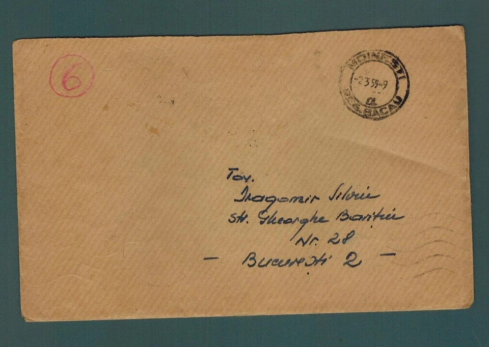 Cubierta Rumania 1959 Armiño (Mustela Erminea) Fauna del Danubio Delta C Foto 2 de 2