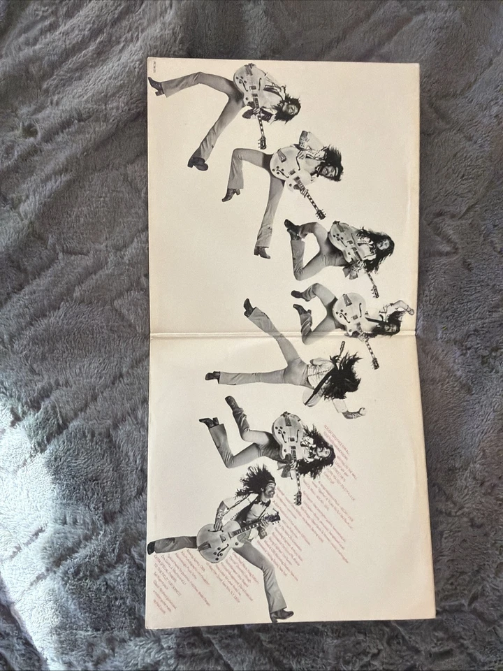 Ted Nugent- Free For All, Vinyl LP 1976 Epic Records PE 34121 USA VG/VG Foto 3 de 4