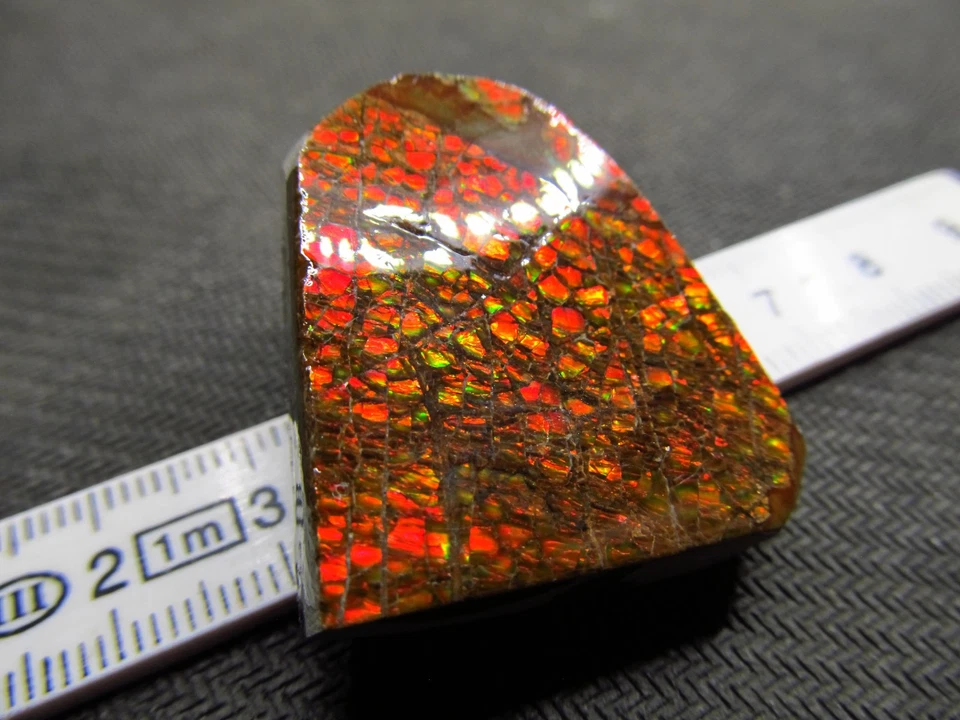 Ammolit Drachenschuppe, Kanada, Maße ca. 32 x 30 x 10 mm, Gewicht 102 Karat! - Bild 4 von 4