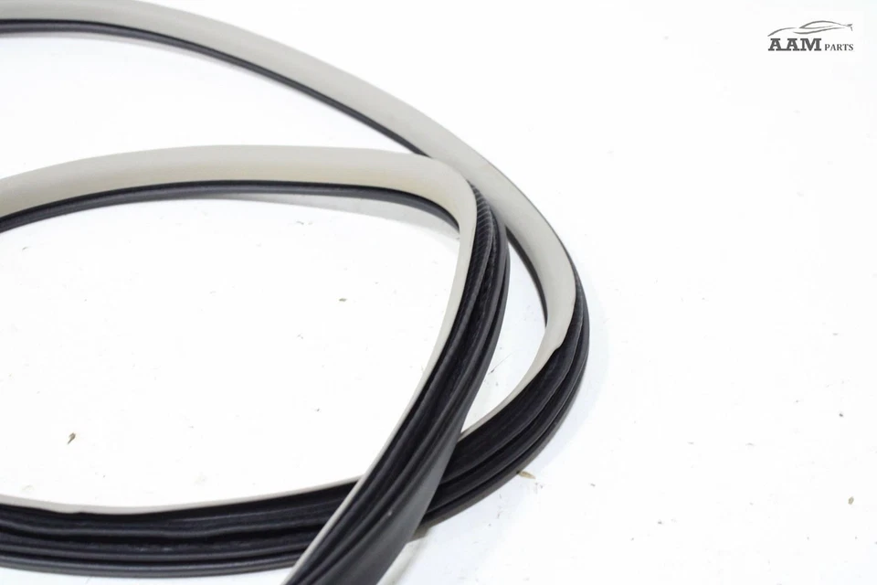 Cadillac CTS 2014-2019 carrocería de puerta trasera izquierda resistente a la intemperie sello de goma OEM Foto 3 de 4