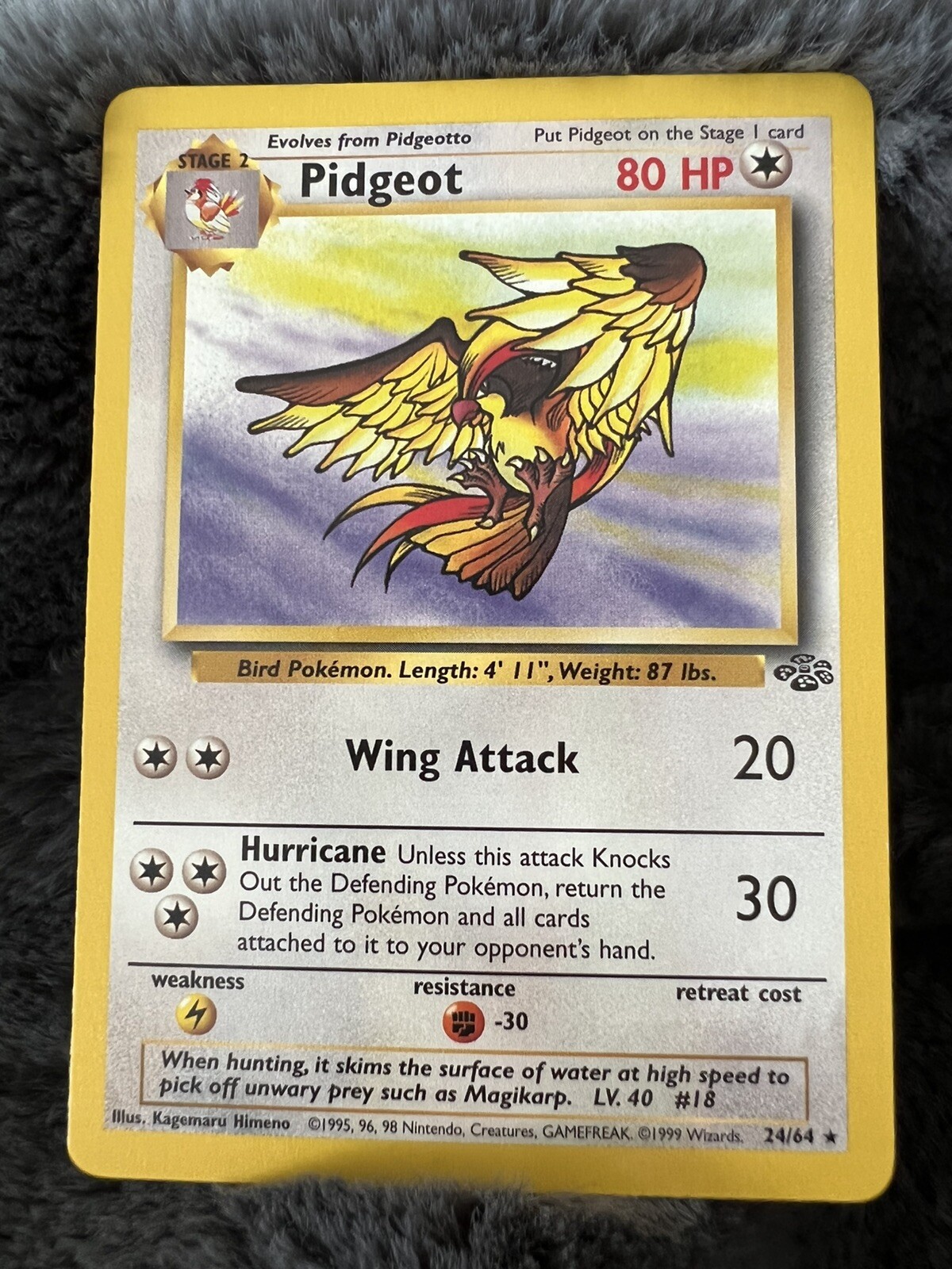 NM Pokemon PIDGEOT Card JUNGLE Set 24/64 Non-Holo RARE