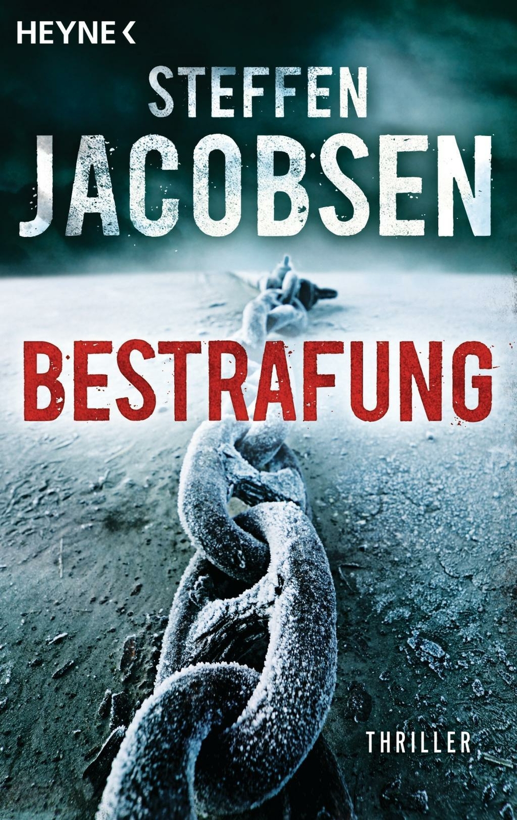 Bestrafung | Buch | 9783453437630