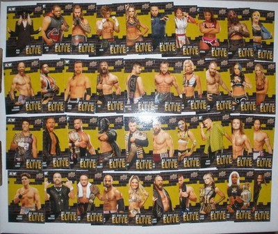 2023 Upper Deck AEW wrestling/We Are All Elite/COMPLETE 40 CARD INSERT SET/HOBBY