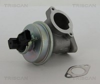 Triscan Agr-Ventil 8813 16012 FüR Ford Jaguar