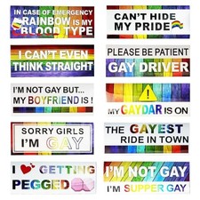10PCS Magnetic Bumper Sticker Decals, Funny LGBT Rainbow Prank Car Stickers,