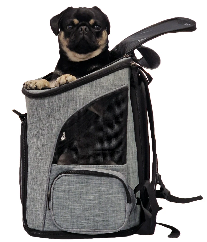 Hunderucksack Katzenrucksack Kleintierrucksack Rucksack Transporttasche Katzen - Bild 4 von 4