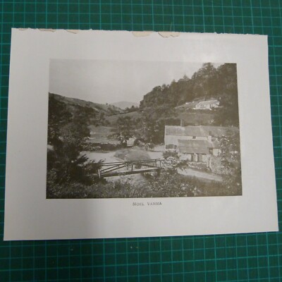 Vintage Print MOEL VAMMA