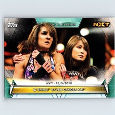 2019 Topps WWE Women's Division -  Io Shirai Saves Dakota Kai #93