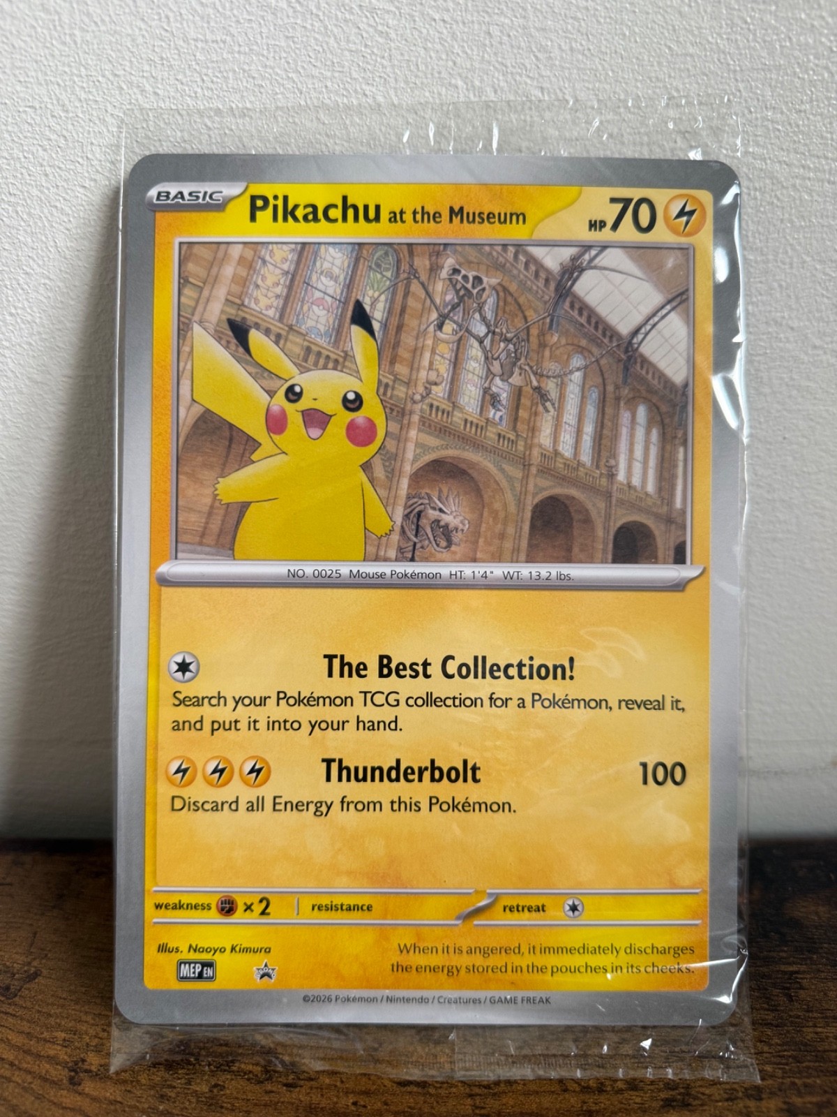 Pikachu at the Museum Jumbo Cards Regular