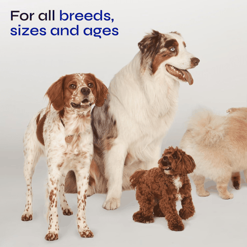 Glucosamine for Dogs Hemp Joint SupGlucosamine for Dogs Hemp Joint Supplement - Picture 7 of 7