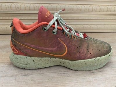 Nike LeBron XXl 21 Queen Conch Basketball Shoes FN0708-800 Men's