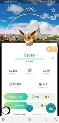 Eevee Explorer hat Bangkok Safari  Pokemon Go 