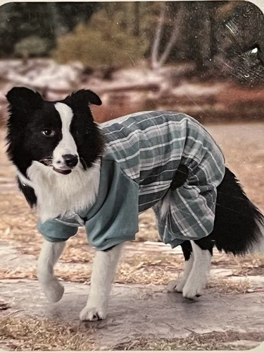 Koolaburra By Ugg Dog Large Pajama Xander Plaid New