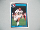 Carte Christophe Cocard (Auxerre) – Panini 1994 #215 – Football – Quasi Neuf
