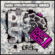 Rob IYF - PigSTYle 3 USB (30 Tracks)