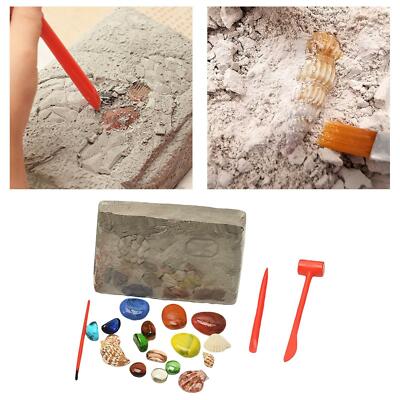 Dolity Kinder Schatzjagd Genstone Graben Spielset enthält Ziegel, Meißel,