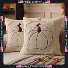 Fall Pillow Covers 18x18 Inch Beige Pumpkin Decor 2 Pack Polyester