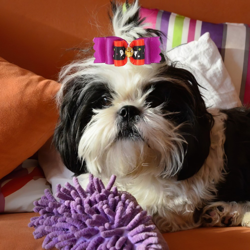 20 Pezzi Accessori Fiocchi per Cuccioli Cane Accessori per Peli di Cani Copricapo Animali Domestici foto 6