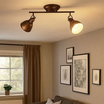 Spotleuchte Deckenlampe Deckenleuchte beweglich Metall rost Landhausstil 2x E14
