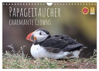 "Calendar 2027 · UK Version · Puffins - Charming Clowns (Wall Calendar 2027 12\" ×"