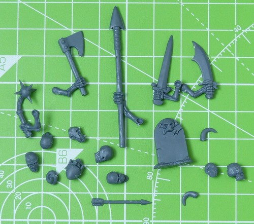 Köpfe & Waffen: Skelette Warhammer AoS
