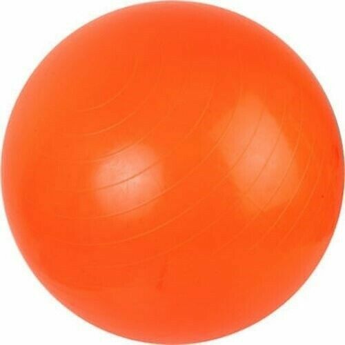 gym ball ebay