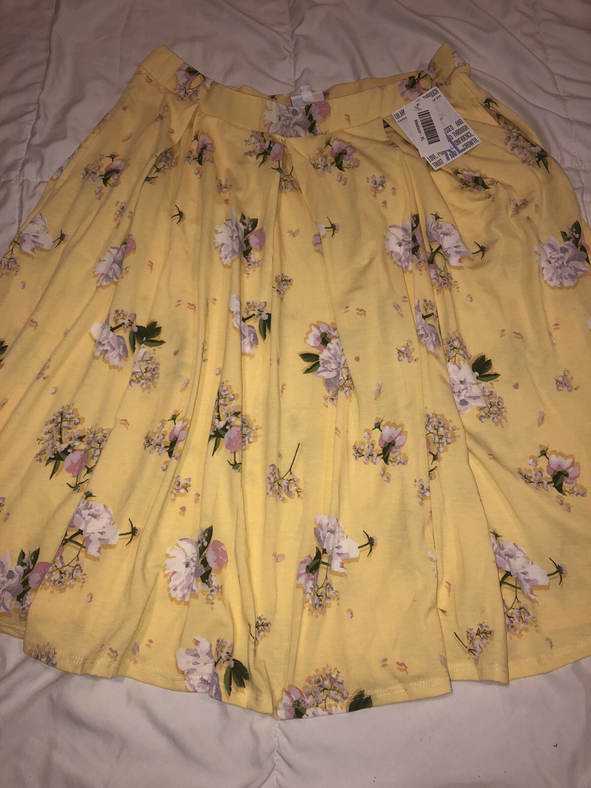 Picture 3 of 12