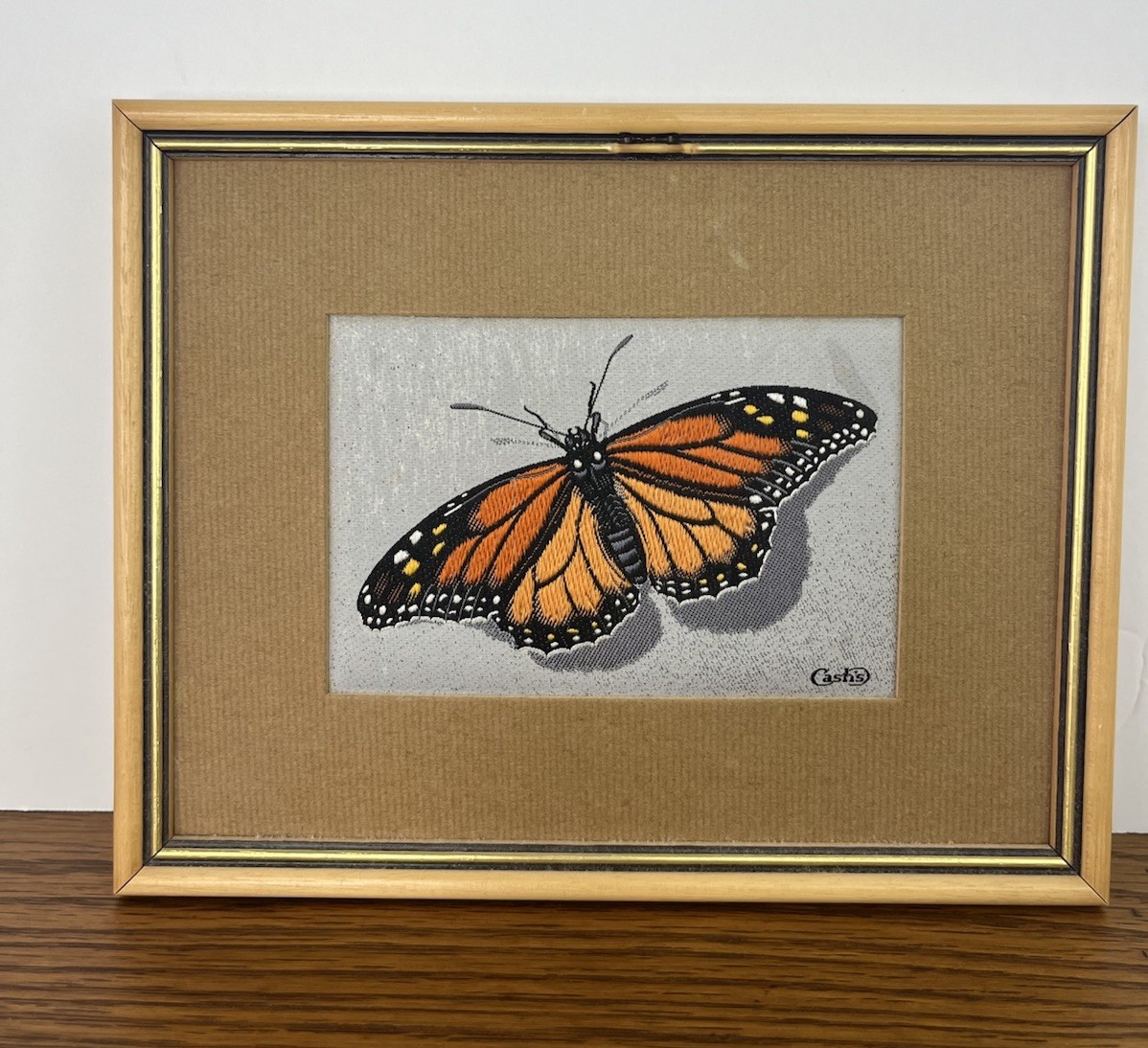 Cash Is Delicately Woven Pictures Monarch Butterfly