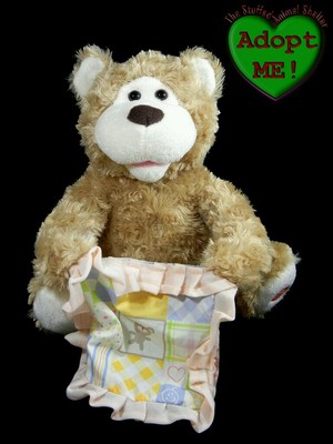 peek a boo talking teddy