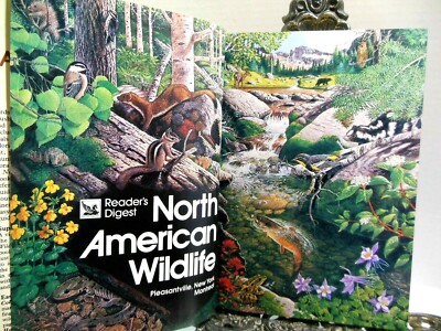 NORTH AMERICAN WILDLIFE Trees Mushrooms Birds Reptiles Insects Fish Mammals HB