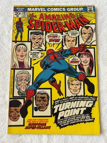 The Amazing Spider-Man #121 (Marvel Comics June 1973) [F/VF]