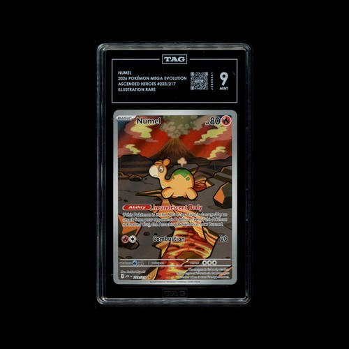 Numel graded TAG 9 for sale on eBay