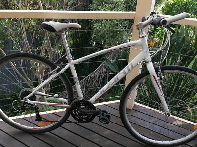 avanti flat bar road bike