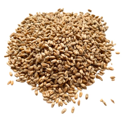 BROW FARM Wheat Grains for Craft Filling - 5, 10 & 20kg Weights