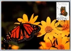 Canada 1995 Monarch Butterfly FDC Maxi Card
