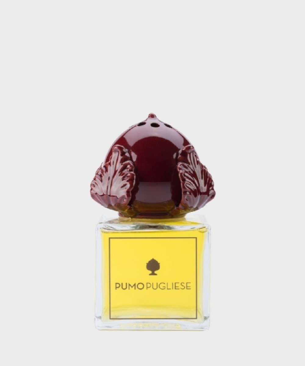 Pumo Pugliese profumatore dambiente, 200 мл, бордоский ПУМО200.BX