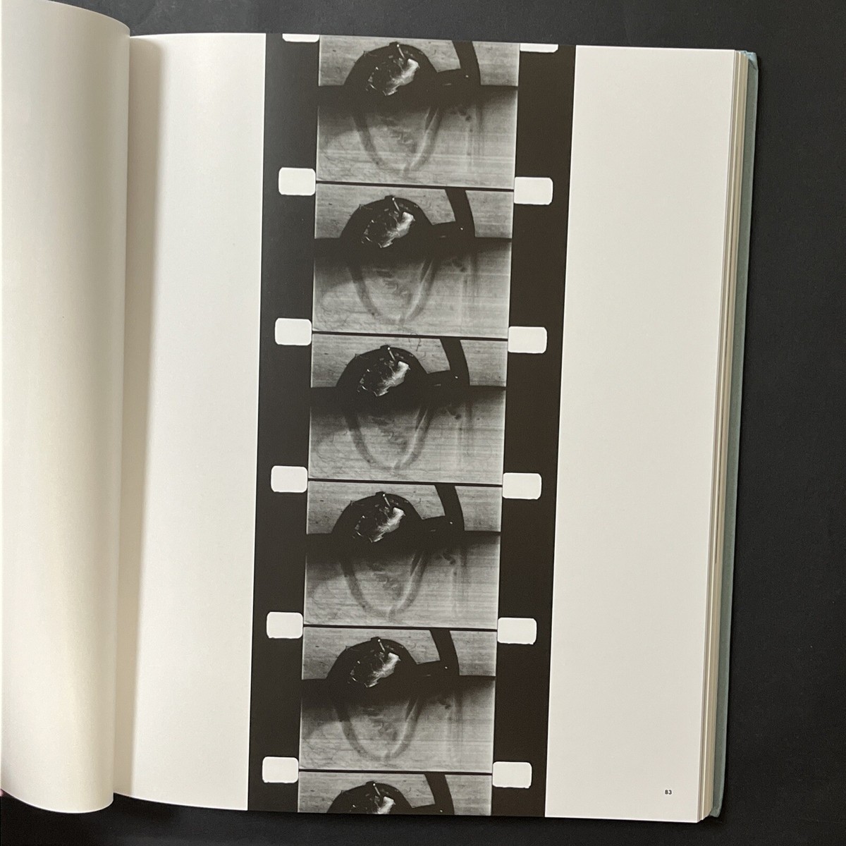 Dennis Oppenheim : Body to Performance, 1969-73 by Amy Van Winkle