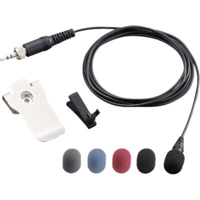 Zoom APF-1 | Neu