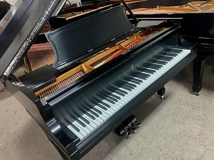 Ebay 2024 grand piano