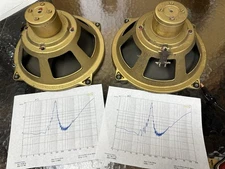 pair Grundig 10" alnico full range speakers early 1950s for open baffle