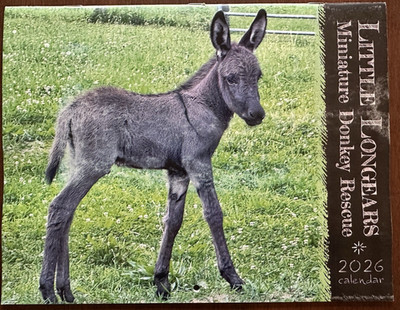 2026 Wall Calendar Little Longears Miniature Donkey Rescue - Animal Sanctuary